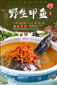 野生甲鱼