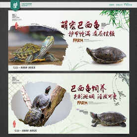 巴西龟