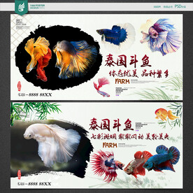 斗鱼