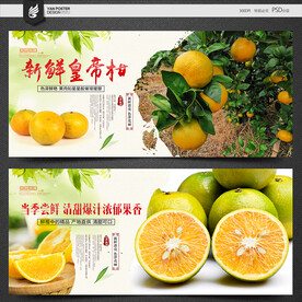 皇帝柑海报