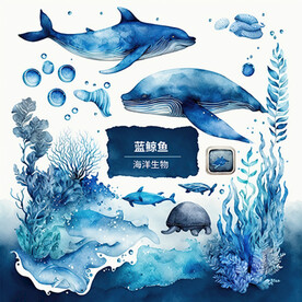 蓝鲸鱼