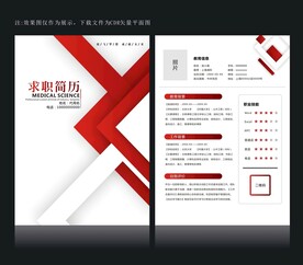 精美简历