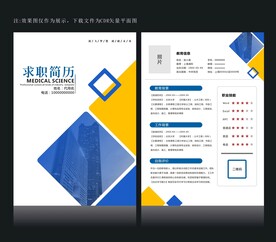 高档简历