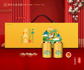 茶叶包装 茶礼盒