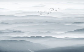 水墨画