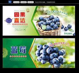  新鲜蓝莓
