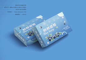 蓝莓包装 平面图