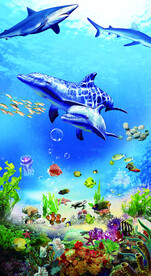 海底世界