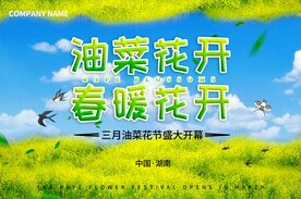 油菜花开