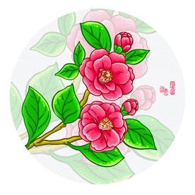 山茶花