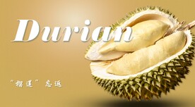 榴莲