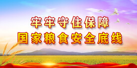 粮食安全