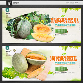 晓蜜瓜