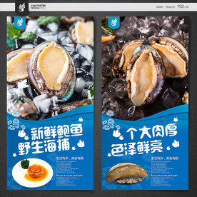 鲍鱼