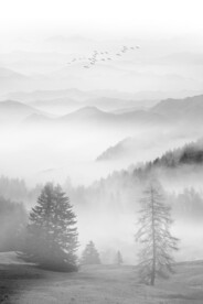 意境水墨画