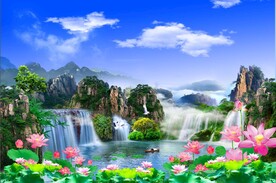 荷花风景 
