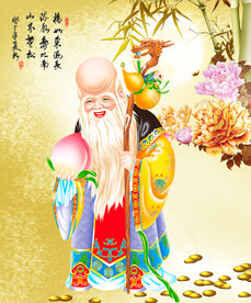 老寿星