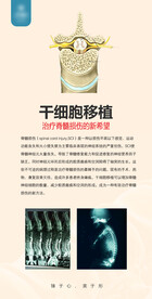 干细胞