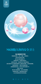 干细胞