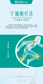 干细胞