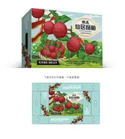 东魁杨梅包装