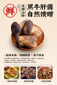 牛肝菌
