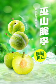 李子