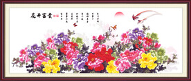 国色天香牡丹花