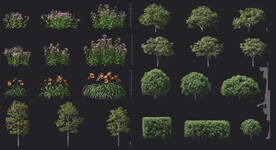 植物