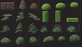 植物