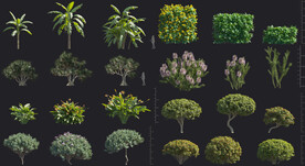 植物