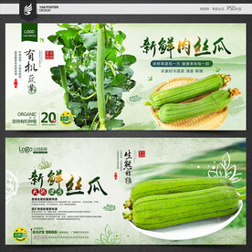 丝瓜