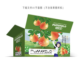  三红蜜柚彩盒