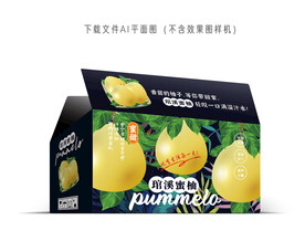 琯溪蜜柚礼盒
