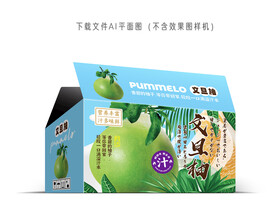 文旦柚彩箱