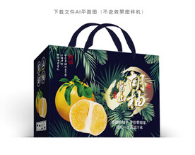 胡柚包装