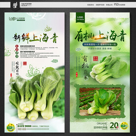 青菜