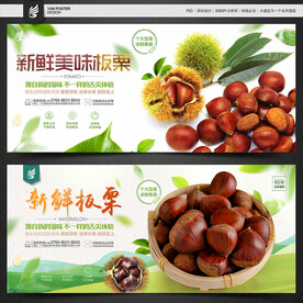 板栗