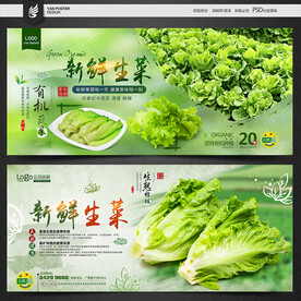 生菜