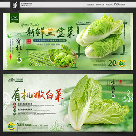 黄白菜