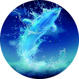 海豚 水花