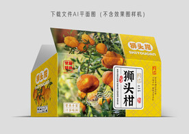狮头柑礼盒