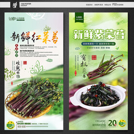 红菜苔
