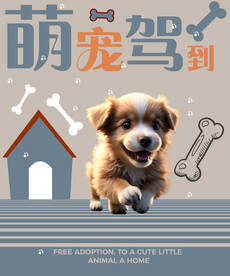 猫海报