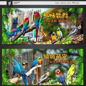 鹦鹉
