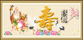 老寿星 