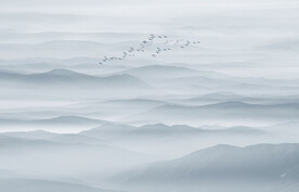 水墨画山水