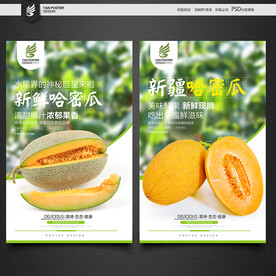 哈密瓜