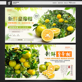 皇帝柑