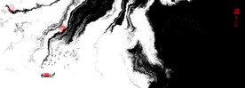 水墨画